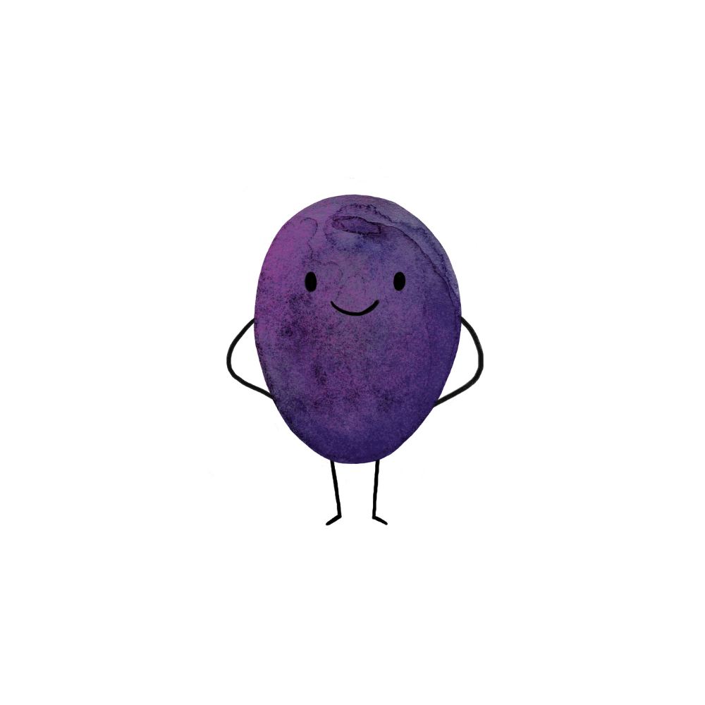 Bio švestky od Karešů 5 kg