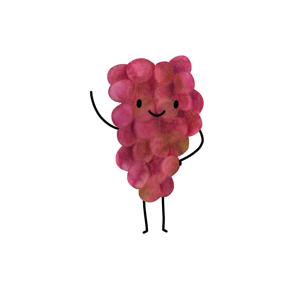 Bio hroznové víno z Koinobio 0,5 kg