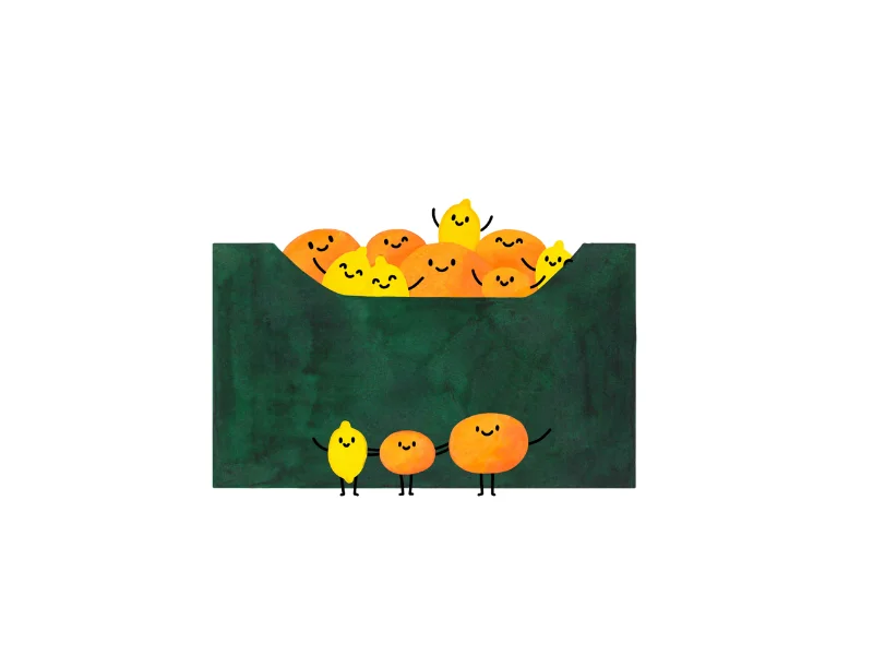 citrusy na měsíc 6 kg